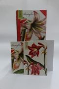 Amaryllis Book Box Notecards 4 Designs