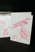 Botanic Tag / Card And Envelope Tin Set